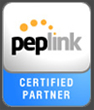 Peplink Partner