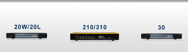 Peplink Balance Multi WAN Routers